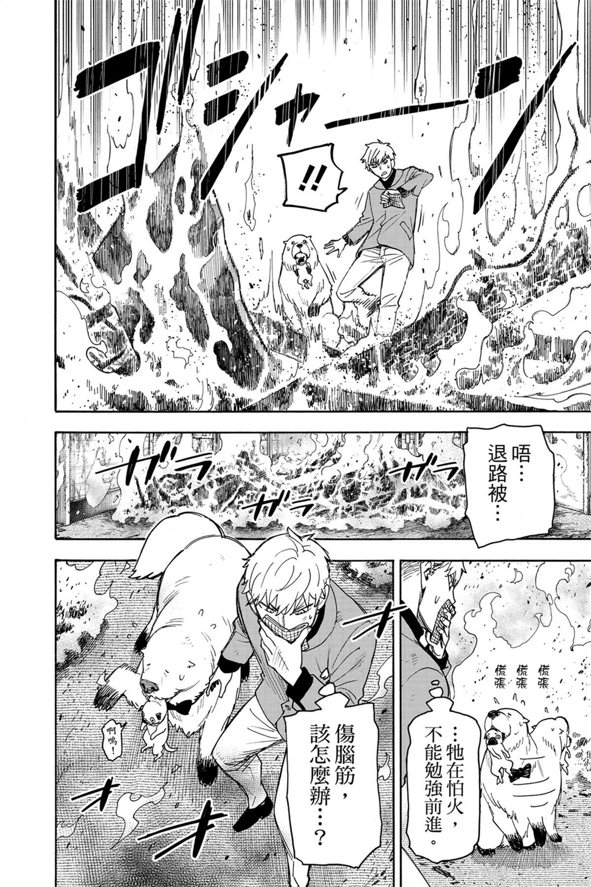 間諜過家家 第58話 第19頁