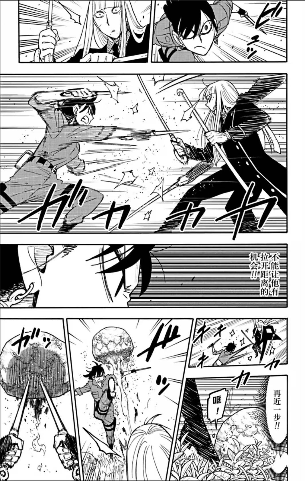 间谍过家家 第117話 第12页